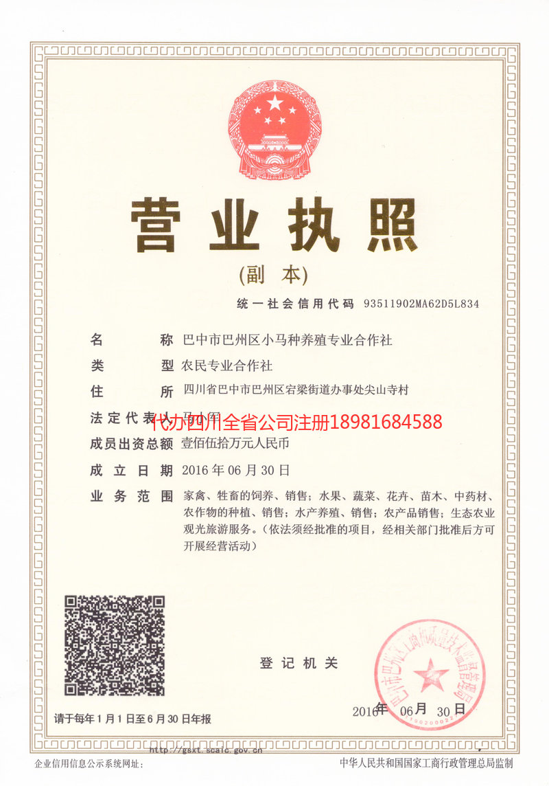 绵竹绵竹小马种养殖专业合作社